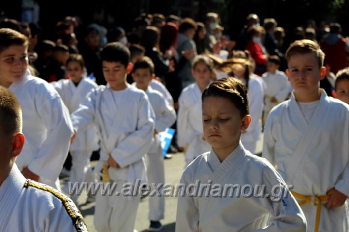 alexandriamou.gr_iparelasi_pana28.10.21581