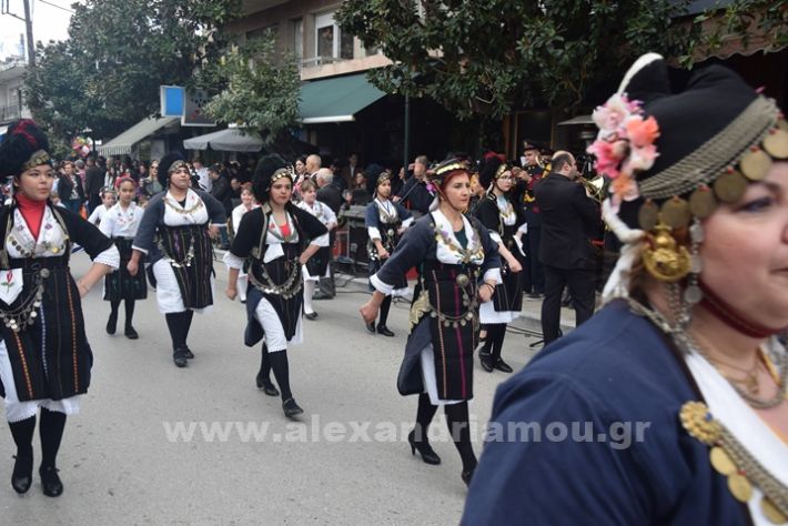 www.alexandriamou.gr_25_parelasi244DSC_0551