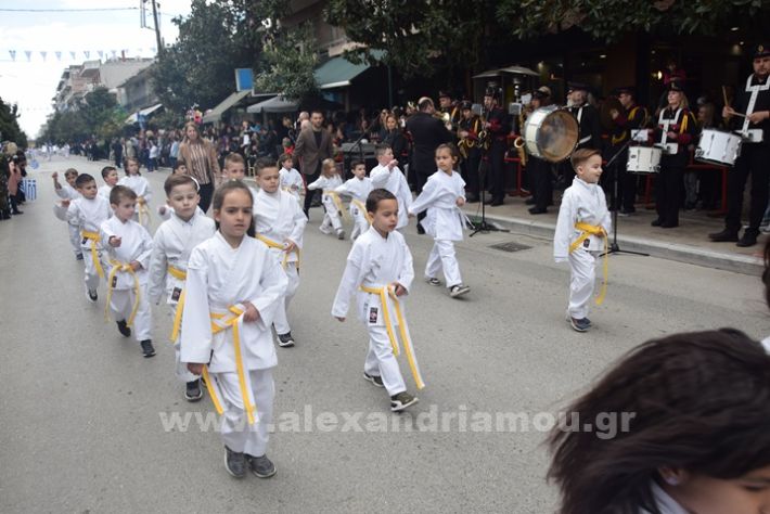 www.alexandriamou.gr_25_parelasi244DSC_0680