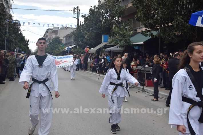 www.alexandriamou.gr_25_parelasi244DSC_0691