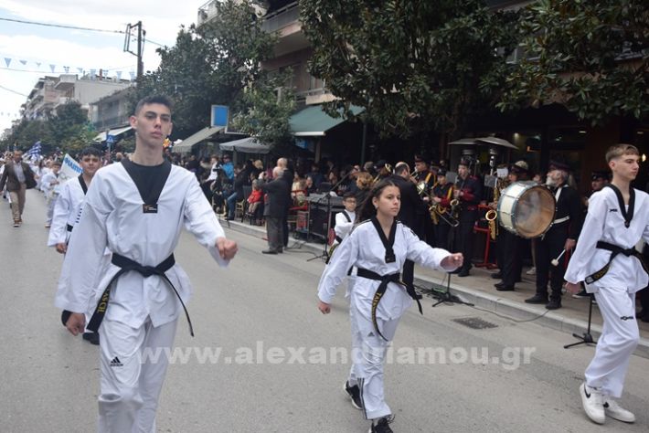 www.alexandriamou.gr_25_parelasi244DSC_0692