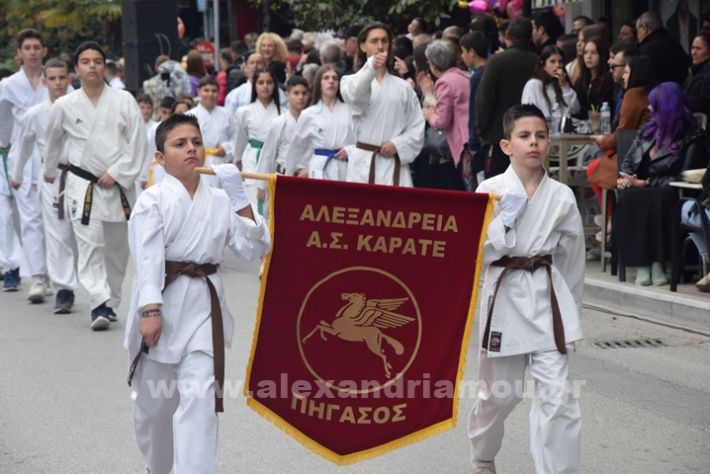 www.alexandriamou.gr_25_parelasi244DSC_0723