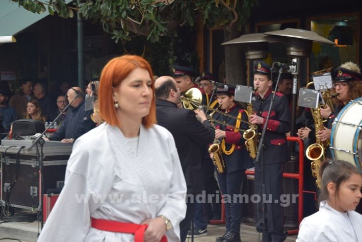 www.alexandriamou.gr_25_parelasi244DSC_0740