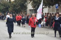 alexandriamou_iparelasi_28.10.160034