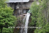 alexandriamou_proedros_pavlopoulos0073