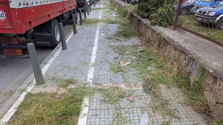 PXL_20260404_052301516.MP