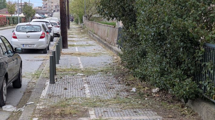 PXL_20260404_054707477.MP