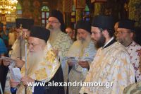 alexandriamou_perifora_panagia20160042