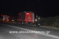 alexandriamou_piros_ki0003