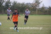 alexandriamou_platanos_agkathia0015