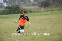 alexandriamou_platanos_agkathia0062