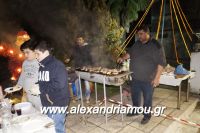 alexandriamou_platanos_goyroynoxara0014