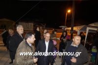 alexandriamou_platanos_goyroynoxara0023