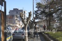 alexandriamou_plateia_ose10