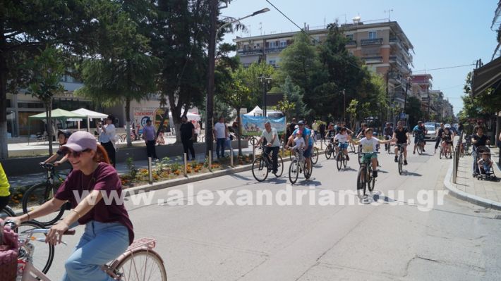 www.alexandriamou.gr_podilatada1.6.25DSC01316