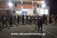 alexandriamou_syllogos_pontion130021