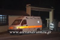 alexandriamou_prosfiges_20160079