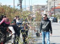alexandriamou_proskoph16