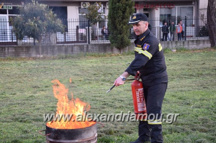 alexandriamou_pirosvestiki75