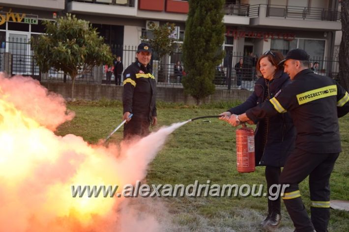 alexandriamou_pirosvestiki98