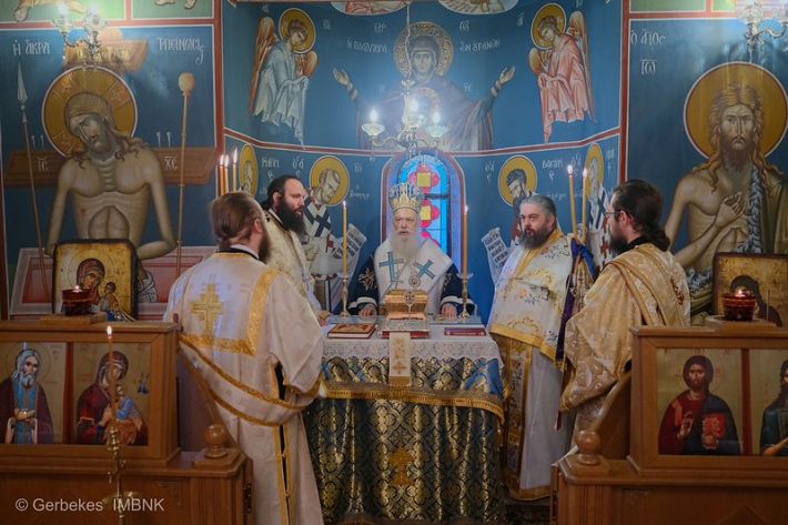 55019112988_43c409334d_c