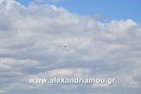 alexandriamou_servia20160060