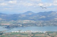 alexandriamou_servia20160064
