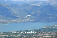 alexandriamou_servia20160081