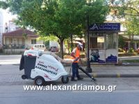 alexandriamou_skoypa0002