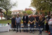 alexandriamou_stauros160002