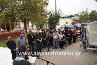 alexandriamou_stauros160013