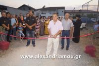 alexandriamou_stauros_0017