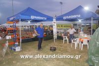 alexandriamou_stauros_0020