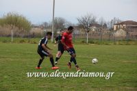 alexandriamou_sxonas_asteras003