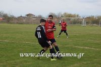 alexandriamou_sxonas_asteras027