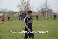 alexandriamou_sxonas_asteras033