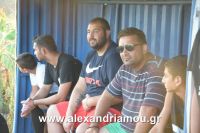 alexandriamou_sxoina_paok100020