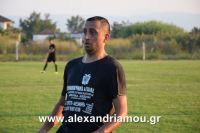 alexandriamou_sxoina_paok100040