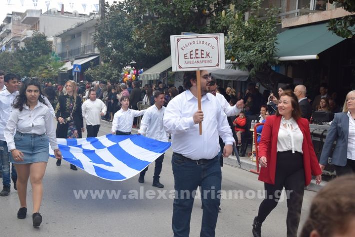 www.alexandriamou.gr_25_parelasi244DSC_0388