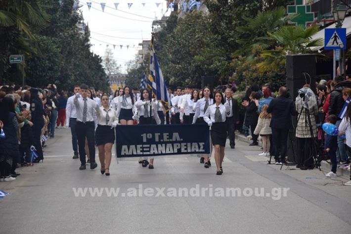 www.alexandriamou.gr_25_parelasi244DSC_0452