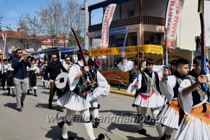 alexandriamou_sullogikarnavali24DSC_0386