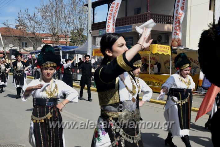 alexandriamou_sullogikarnavali24DSC_0393