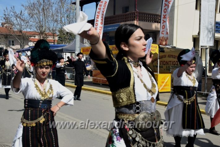 alexandriamou_sullogikarnavali24DSC_0394