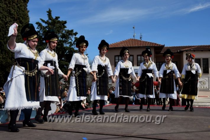 alexandriamou_sullogikarnavali24DSC_0418