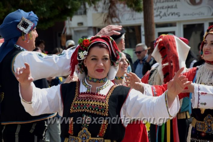 alexandriamou_sullogikarnavali24DSC_0449