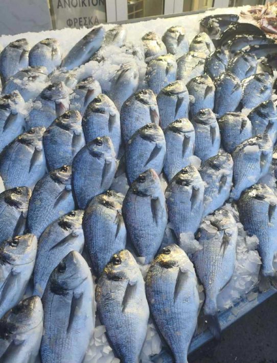 3d18c5fd-bebf-4121-8372-5528fffcabcf