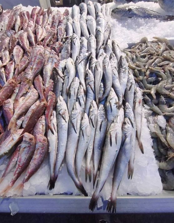 89201dc5-5f4f-44e4-bfb2-95b4bb831058