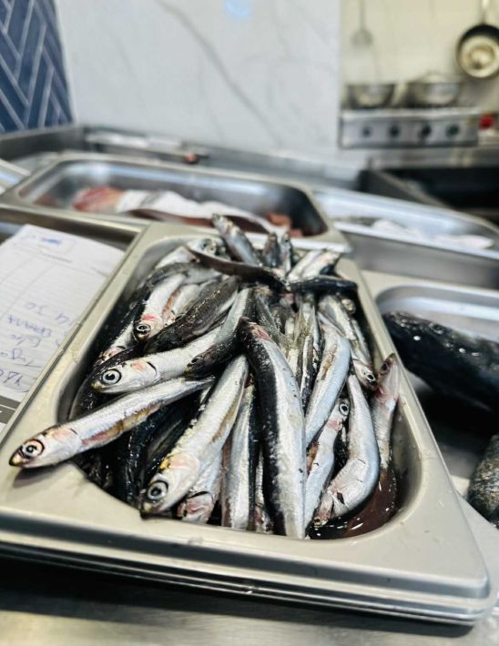 a7f833bc-bd92-417d-a7c9-392ead939738