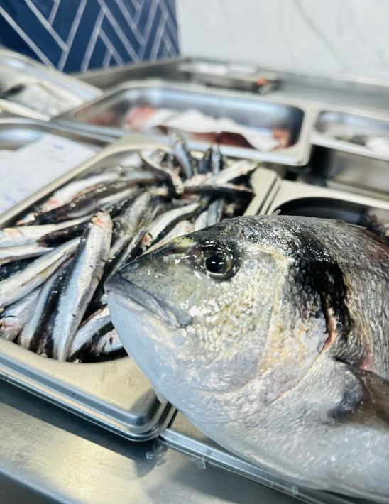 cd119643-5934-4fe8-898c-981b953250dd