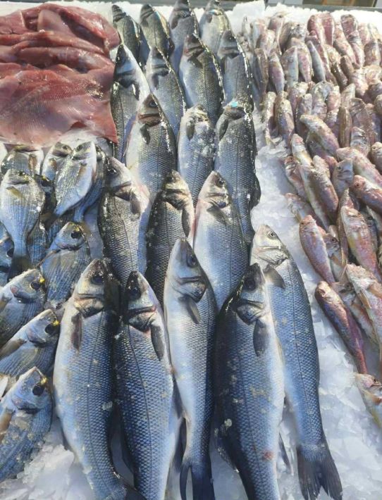 db62837d-08da-4e5c-aff3-c1aeff686021